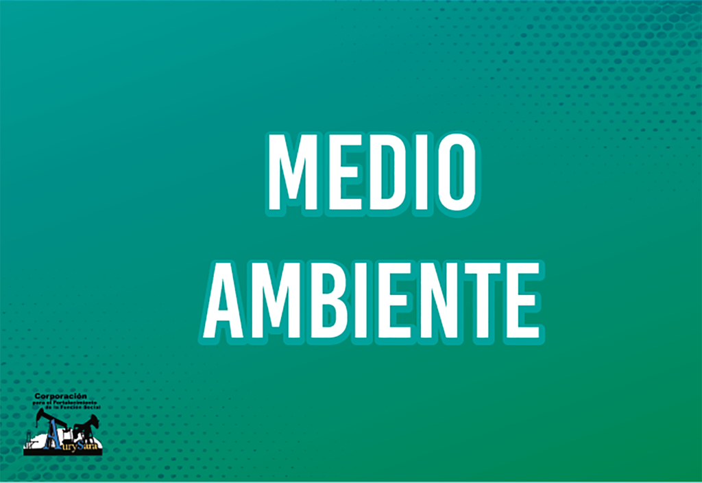 Pandemia no es excusa para flexibilizar políticas ambientales: ONU